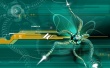 Web Spider 3D Wallpaper Preview