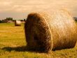Golden haystack Предпросмотр Обоев