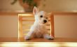 Dog at the table Wallpaper Preview