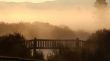 Bridge in mist Wallpaper Preview