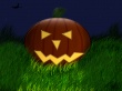 Pumpkin in grass Wallpaper Preview