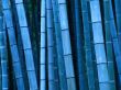 Blue bamboo Предпросмотр Обоев