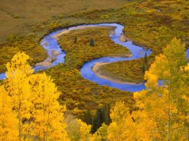 Autumn river Обои