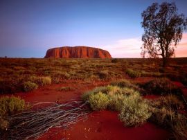 Red sandy hills Wallpaper