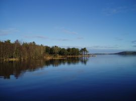 Lake and the trees Обои