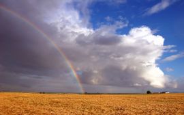 Rainbow over field Обои
