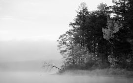 Mist over lake Wallpaper