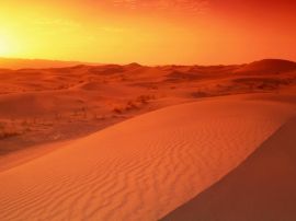 Desert sunrise Wallpaper