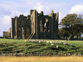 Berwick Upon Tweed Wallpaper