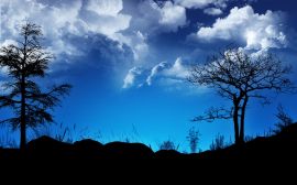 Blue contrast sky Обои