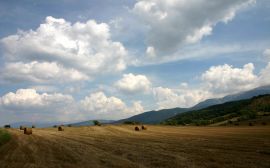 Haystacks on field Wallpaper