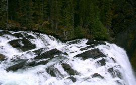 Rapid waters Wallpaper