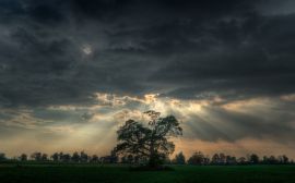 Clouds over tree Обои