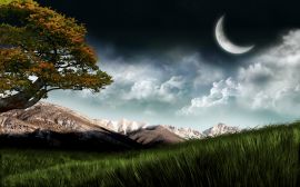 Moon over field Wallpaper