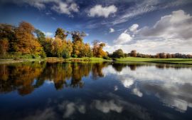 Forest reflection Wallpaper