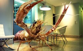 Large crab Обои