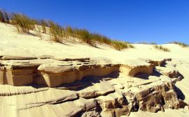 Sand dunes Обои