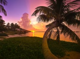 Bahia Honda Park Wallpaper