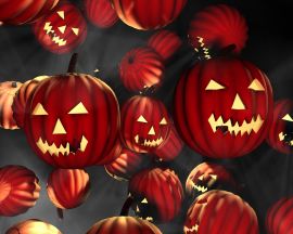 Red pumpkins Wallpaper