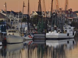 Fishing boats Wallpaper