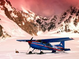 Cessna 185 airplane Wallpaper