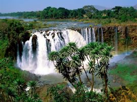 Blue Nile Falls Обои
