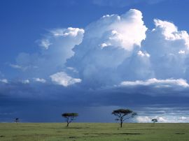 Storm over Savannah Wallpaper