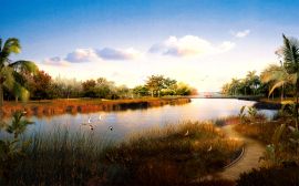 Wildlife lake Обои