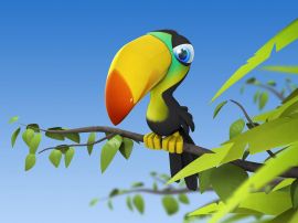 Colorful parrot Wallpaper