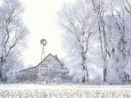 Frosted Farmland Wallpaper