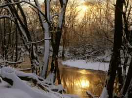 Harpeth River Wallpaper