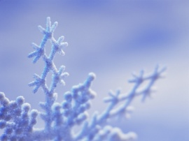 Frost winter forms Wallpaper
