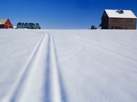 Snow marks in winter Обои