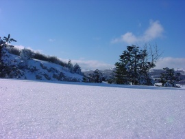 Nature in winter Обои