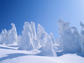 Winter strange forms Wallpaper