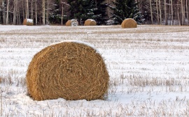 Winter hay bales Обои