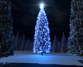 Christmas blue tree Обои