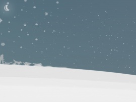 Snow husky night Wallpaper