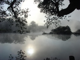 Morning lake Обои