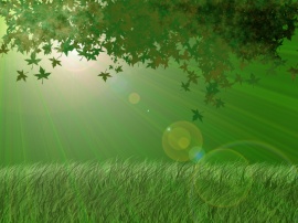 Green leafs in light Обои