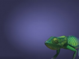 Chameleon Обои