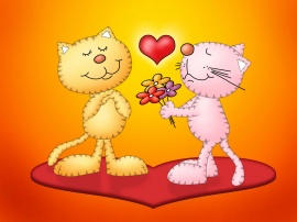 Love for cats Обои
