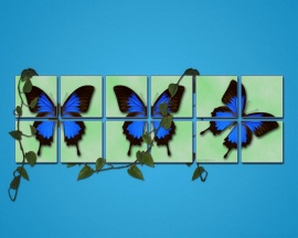 Spring blue butterfly Wallpaper