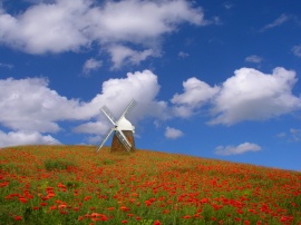 Windmill Wallpaper