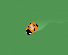 Lady Bug Обои