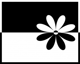 Black white flower Обои
