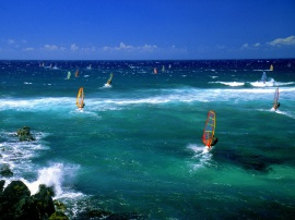 Windsurfers Maui Wallpaper
