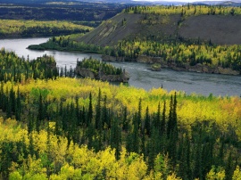 Yukon River Обои