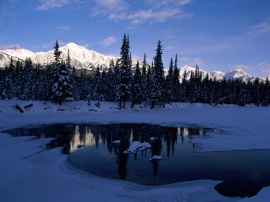 Bow River Valley Wallpaper