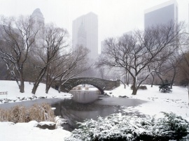 Central Park in winter Wallpaper